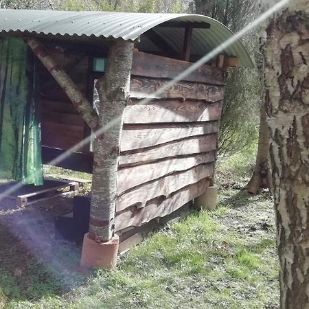 Sapphire Forest Garden Shepherd'S Hut Church Stretton Bagian luar foto