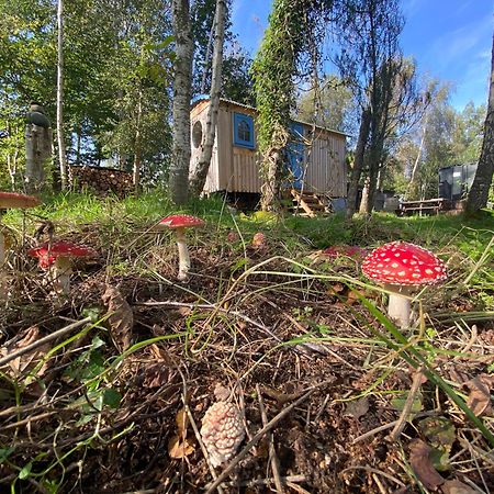Sapphire Forest Garden Shepherd'S Hut Church Stretton Bagian luar foto