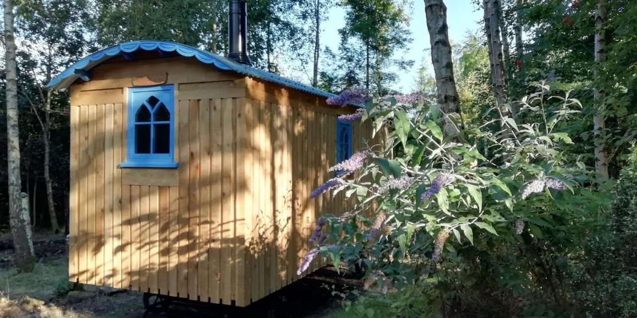 Sapphire Forest Garden Shepherd'S Hut Church Stretton Bagian luar foto