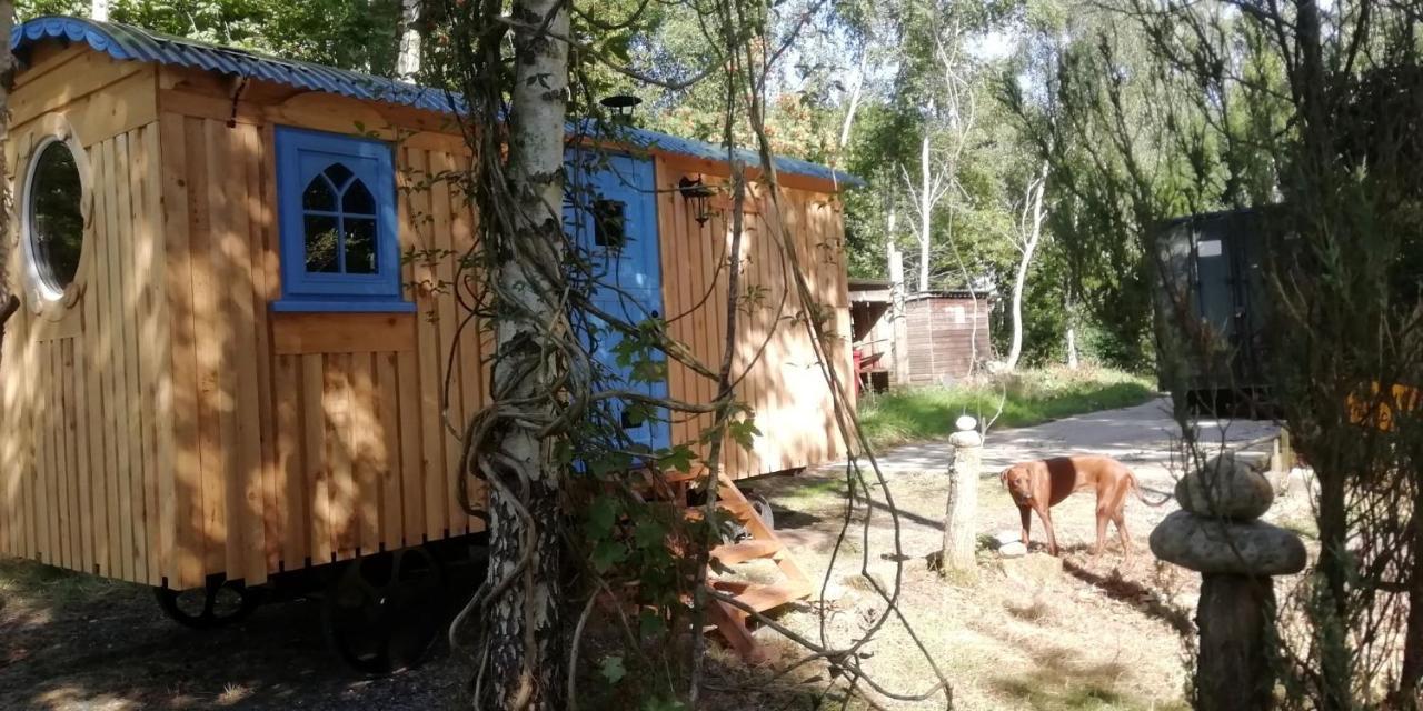 Sapphire Forest Garden Shepherd'S Hut Church Stretton Bagian luar foto