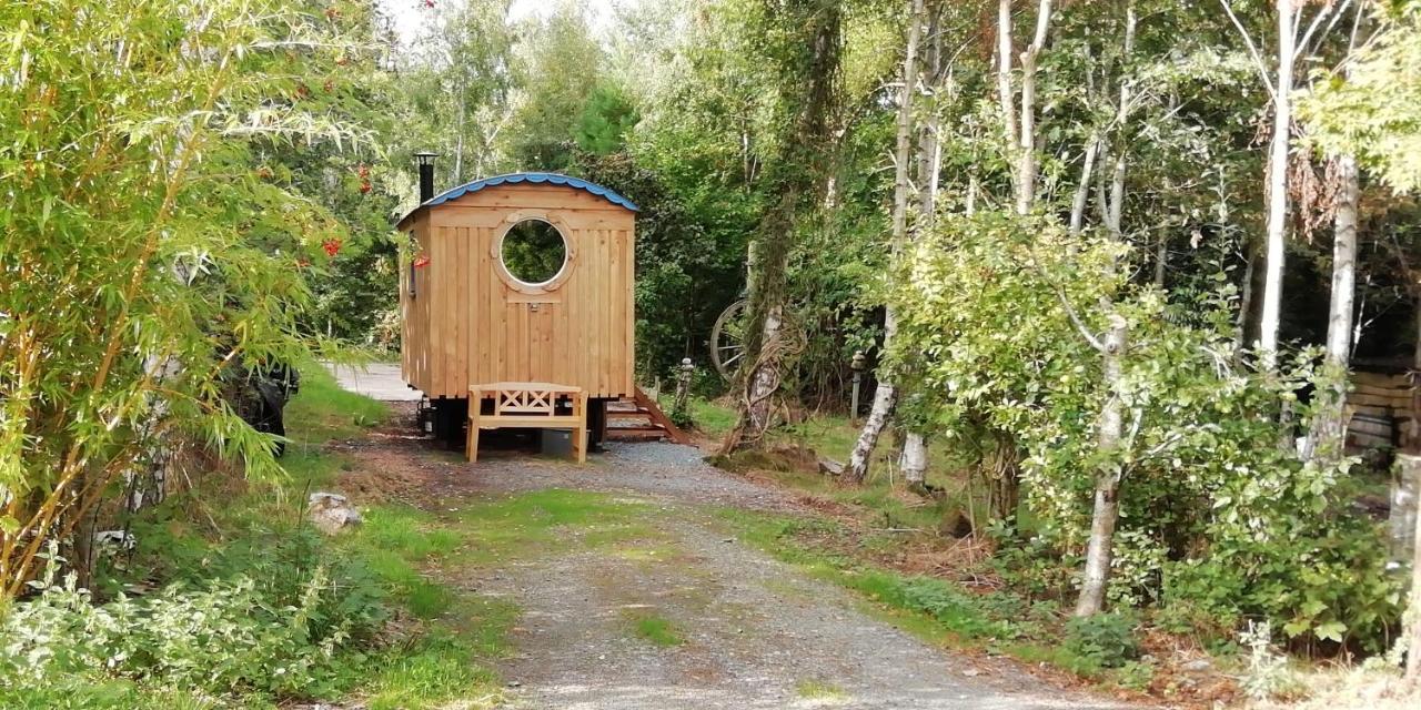 Sapphire Forest Garden Shepherd'S Hut Church Stretton Bagian luar foto