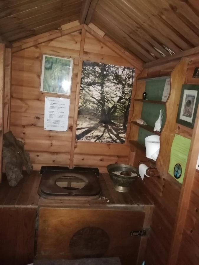 Sapphire Forest Garden Shepherd'S Hut Church Stretton Bagian luar foto
