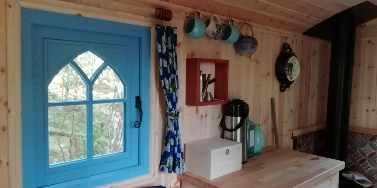 Sapphire Forest Garden Shepherd'S Hut Church Stretton Bagian luar foto