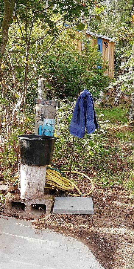 Sapphire Forest Garden Shepherd'S Hut Church Stretton Bagian luar foto