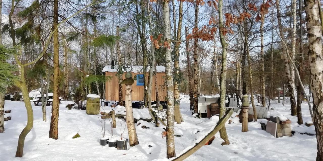 Sapphire Forest Garden Shepherd'S Hut Church Stretton Bagian luar foto